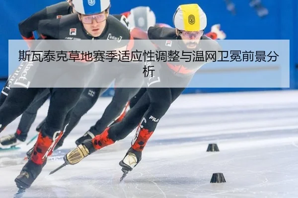 si-wa-tai-ke-cao-di-sai-ji-shi-ying-xing-tiao-zheng-yu-wen-wang-wei-mian-qian-jing-fen-xi-2-339.jpg