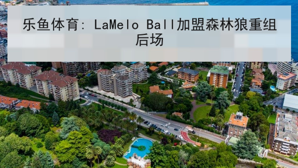 乐鱼体育: LaMelo Ball加盟森林狼重组后场