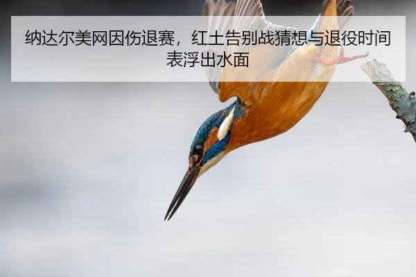na-da-er-mei-wang-yin-shang-tui-sai-hong-tu-gao-bie-zhan-cai-xiang-yu-tui-yi-shi-jian-biao-fu-chu-shui-mian-3-719.jpg